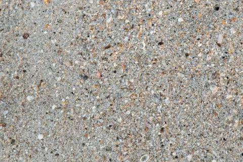Sea shells on sand Stock Photos