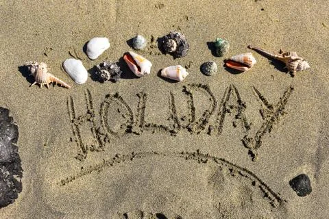 Sea Shells on the sand. Stock Photos