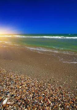 Sea shells on sand Stock Photos