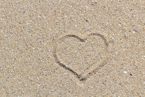 Sea shells on sand. Summer beach background. Top view Stock Photos