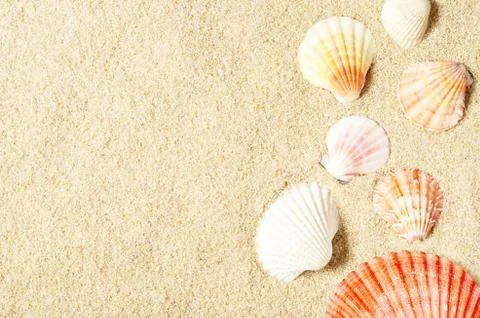 Sea shells on sandy beach. Summer background. Top view Stock Photos