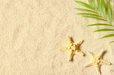 Sea shells on sandy beach. Summer background. Top view Foto stock