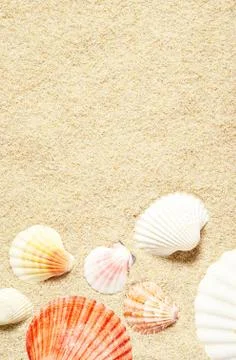 Sea shells on sandy beach. Summer background. Top view Stock Photos
