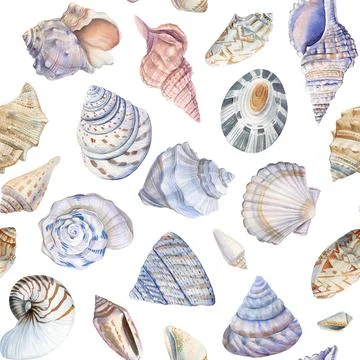 Sea shells. Seamless pattern with seashells. Marine background. Watercolor Illustrazione stock