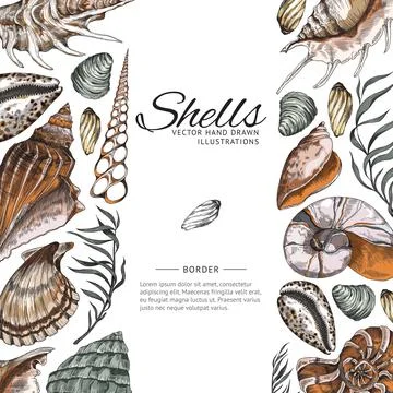 Sea shells sketch frame or border with copy space for text, vector illustration. Illustrazione stock
