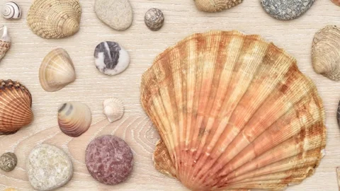 Sea shells, snails and pebbles on the brown wooden background Video stock 278656986