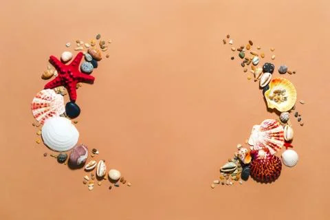 Sea shells, stones creative composition. Oval border, copy space. Summer frame Stock Photos