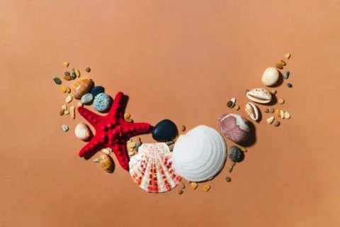 Sea shells, stones creative composition. Modern summer tropic beige clipart Stock Photos