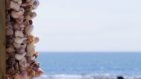 Sea shells on string with blue ocean in background Stock Footage 104506106