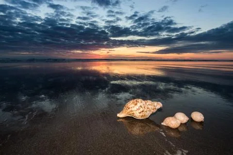 Sea Shells Sundown Stock Photos