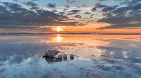 Sea Shells Sunset Stock Photos