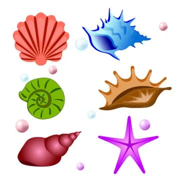 Sea shells symbols collection. Vector set Stock Illustration