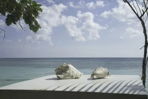 Sea shells on a table sea front Fotos de archivo