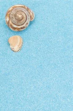 Sea shells on a turquoise sand background Stock Photos