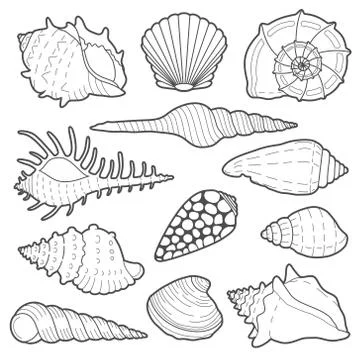 Sea shells vector icon set Stock Illustration