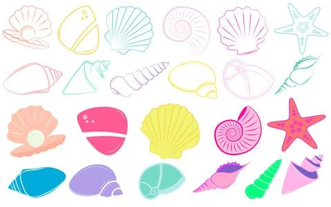 Sea shells vector Stock Illustration