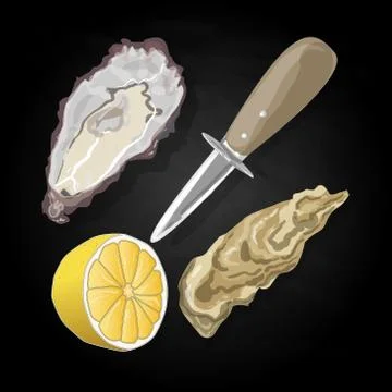 Sea shells vector illustration Illustrazione stock