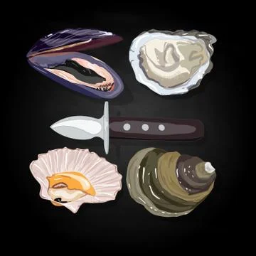 Sea shells vector illustration イラスト素材