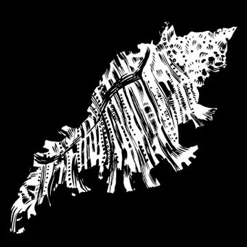 Sea shells vector monochrome illustration texture background Stock Illustration