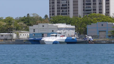 Sea-shepperd-brigitte-bardot Stock Footage 37622336