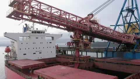Sea ship hold is loaded by coal. Stock Footage 219977299