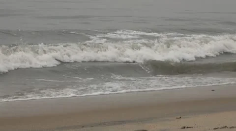 Sea Shire Stock Footage 10346808