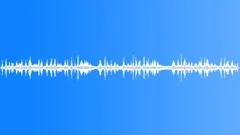 SEA shore ambience, light intensity wavesSound Effect