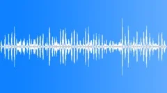 SEA shore ambience, medium light intensity wavesSound Effect