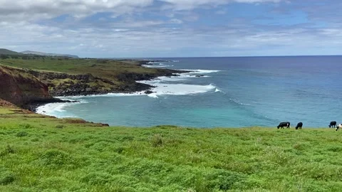 Sea shore in Easter Island 動画素材 342841629