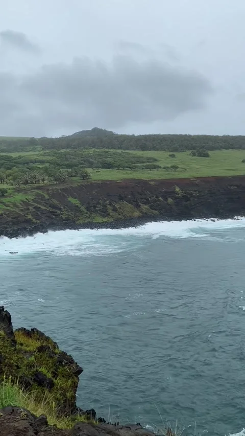 Sea shore in Easter Island Video stock 342842217