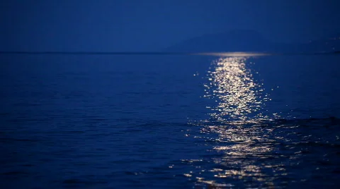 Sea shore Stock Footage 769001