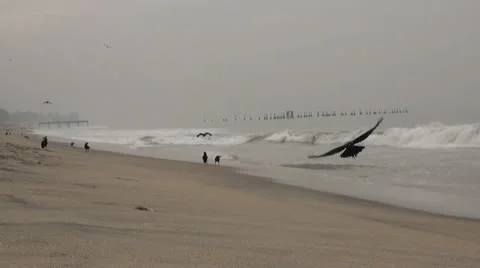 Sea shore Stock Footage 10342635