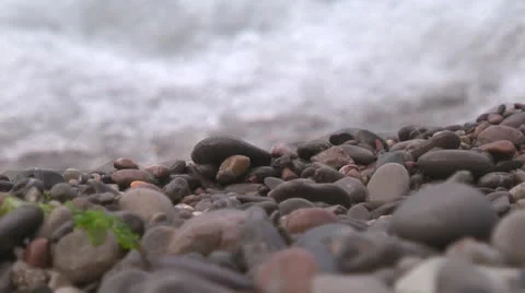 Sea shore Video stock 26110011