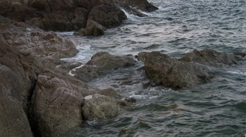 Sea shore Stock Footage 39296785