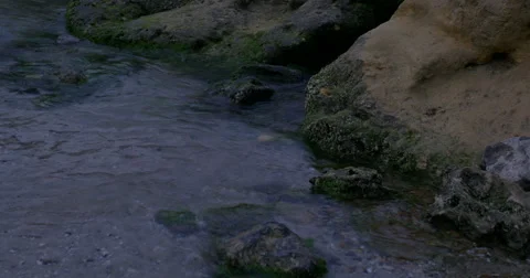 Sea shore Stock Footage 65994346