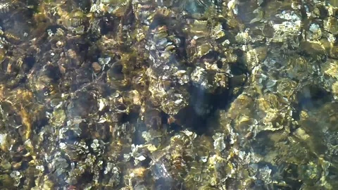 Sea shore Video stock 103514581