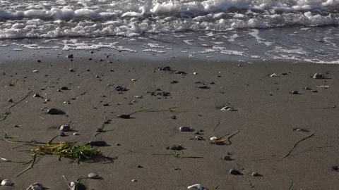 Sea Shore Stock Footage 121467052