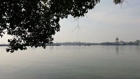 Sea shore 動画素材 155302184
