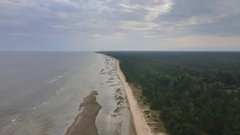 Sea shore with forest Stock Footage 149039947