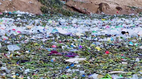 Sea shore full of floating garbage at to... | Stock Video | Pond5