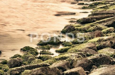 Sea Shore Green Rocks Stock Photos