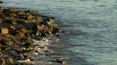 Sea Shore HD 動画素材 510399