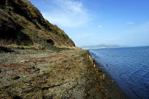 Sea shore Stock Photos