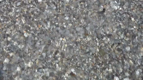 Sea shore with seashells 스톡 동영상 137968114