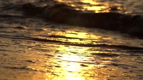 Sea shore in the setting sun Stock Footage 233666824