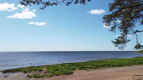Sea shore. under the tree. branches against the sky Stock Footage 134737397