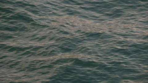 Sea Side Stock Footage 321292150