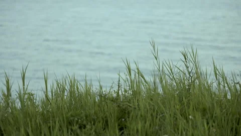 Sea Side Stock Footage 321292190