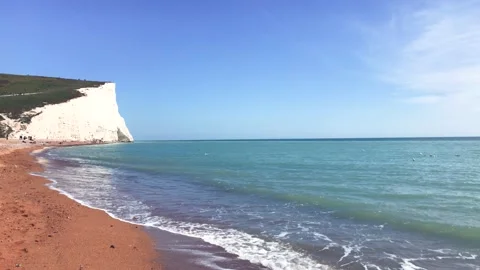 Sea side, view of the beach and cliff, dog playing 스톡 동영상 155245697