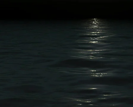 Sea of Silver Видео 103631